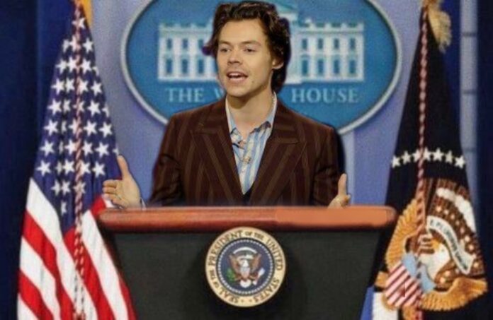 Harry Styles President Campaign