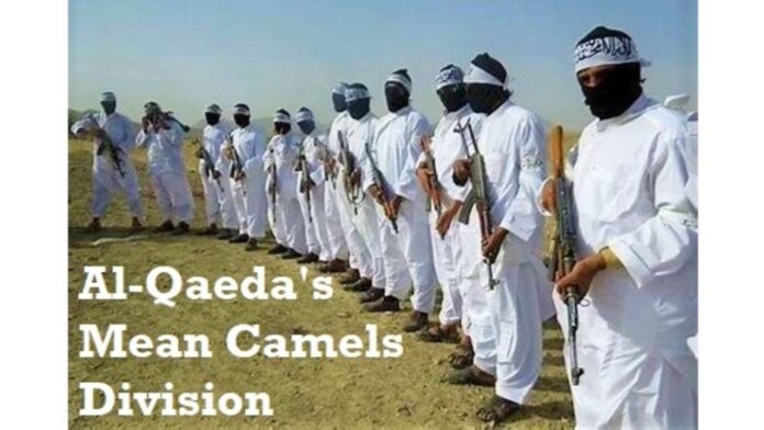 al-qaeda’s-mean-camels-division-is-ranked-as-one-of-the-meanest-in-the-terrorism-business