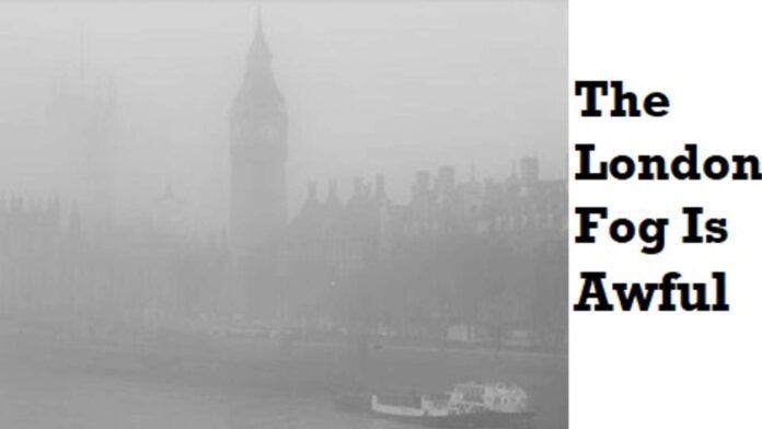 the-fog-in-london-is-so-thick-blackbirds-are-actually-eating-it